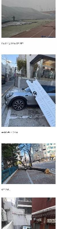 昨日吹いた強風の威力