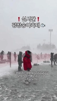 平昌トラウトフェスティバル最新情報