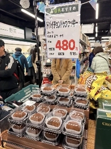 ドゥジョクは日本を征服した。