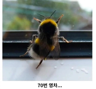 ハニーツイスト1袋に含まれるはちみつの量