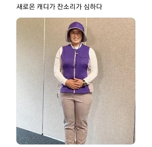 新しいキャディ