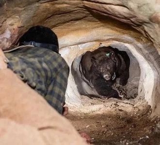 世界で一番気まずいツーショット