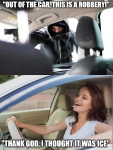 アメリカの Reddit に投稿された ICE ミーム