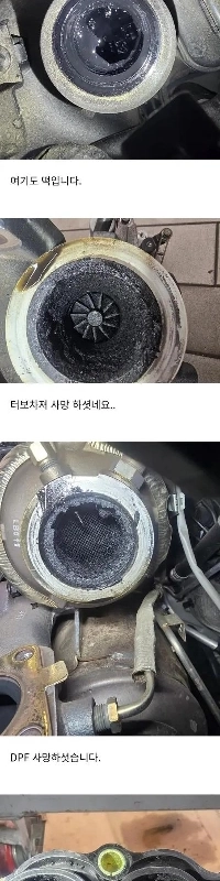 自分の脳の中が気になる車オーナー