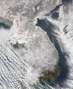 韓国で最もホットな地域の 1 つ.jpg