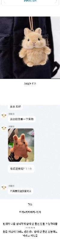 このウサギのキーホルダーAIはタオバオで動かしたと思うのですが、実際はどうなるのか興味があったので注文してみました。