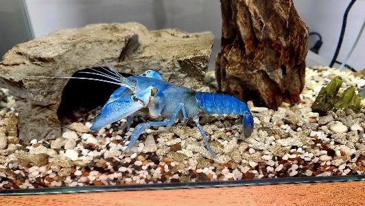 週末に家の詳細を調べた後